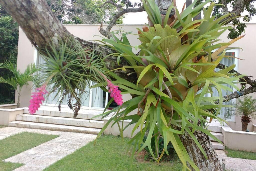 Buzios Requinte & Sofisticacao Villa Exterior photo